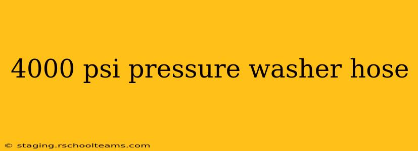 4000 psi pressure washer hose