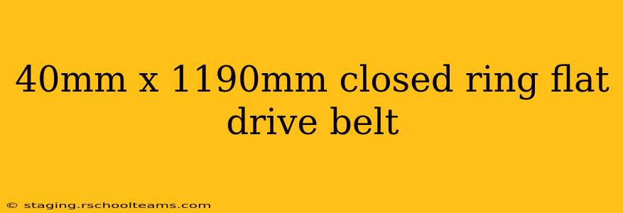 40mm x 1190mm closed ring flat drive belt