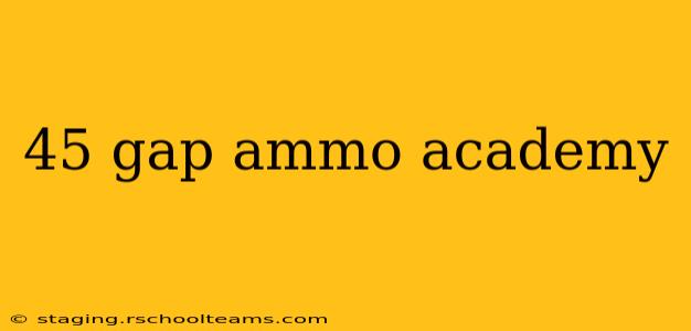 45 gap ammo academy
