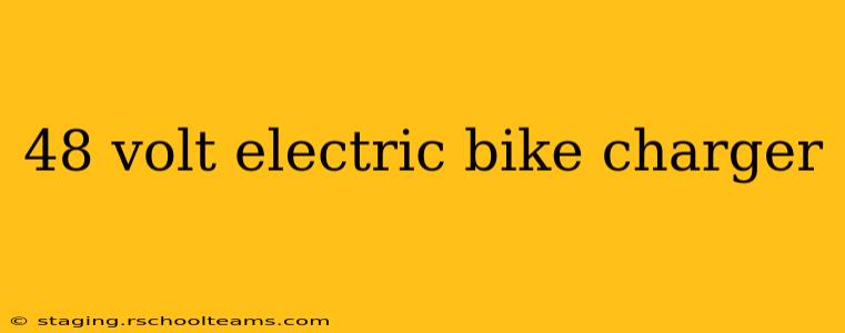 48 volt electric bike charger