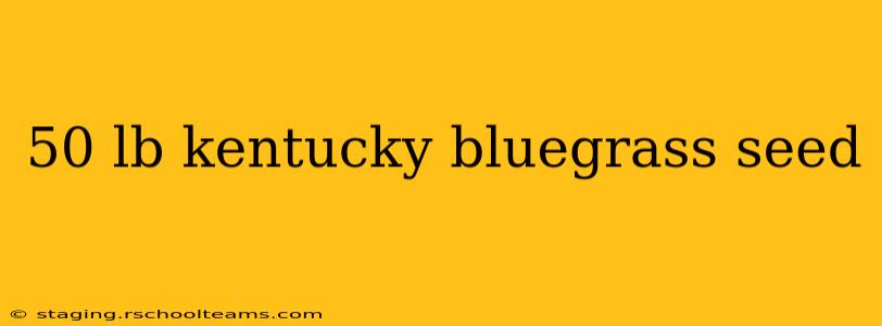 50 lb kentucky bluegrass seed