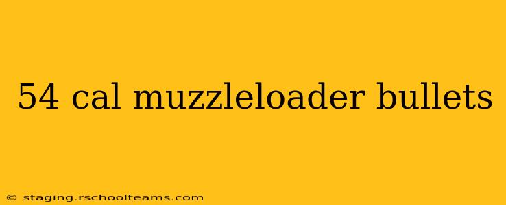 54 cal muzzleloader bullets