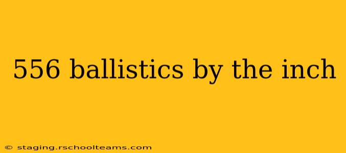 556 ballistics by the inch