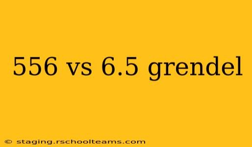 556 vs 6.5 grendel