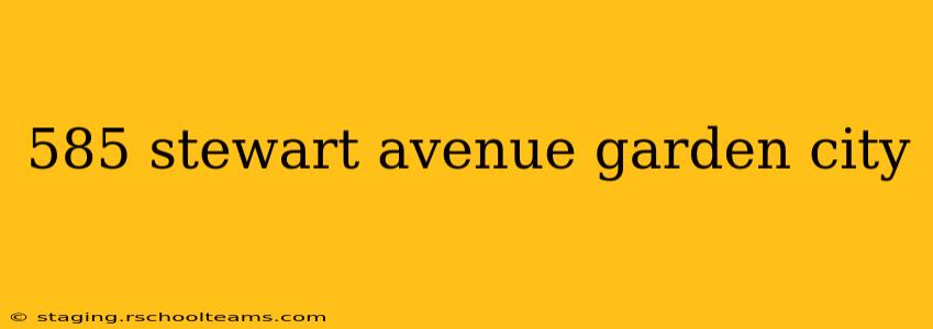 585 stewart avenue garden city