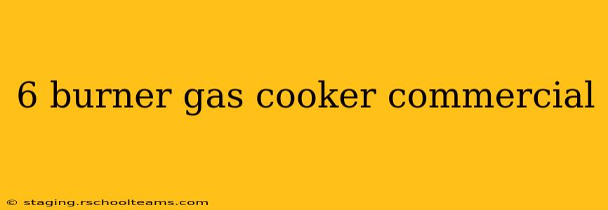 6 burner gas cooker commercial
