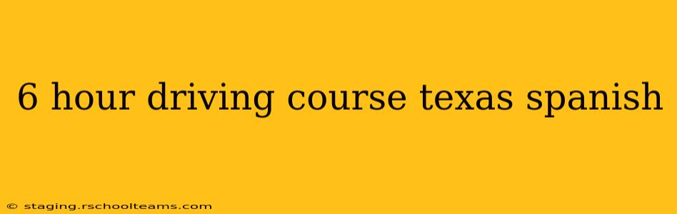 6 hour driving course texas spanish