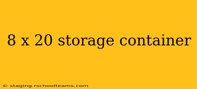8 x 20 storage container