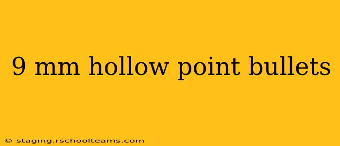 9 mm hollow point bullets