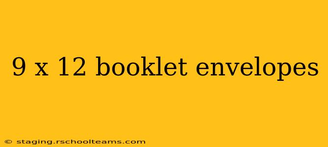9 x 12 booklet envelopes