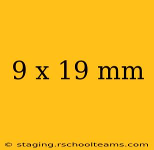 9 x 19 mm