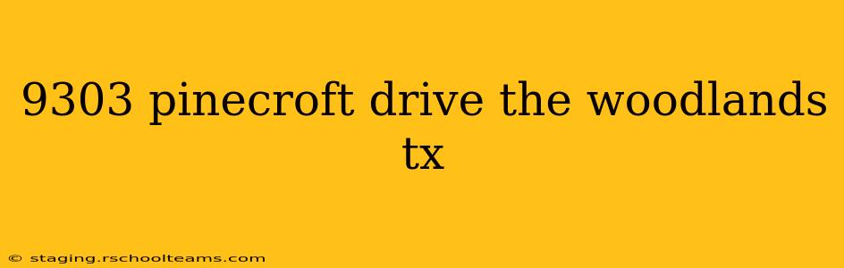 9303 pinecroft drive the woodlands tx