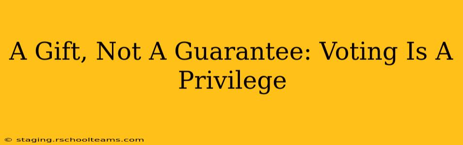 A Gift, Not A Guarantee: Voting Is A Privilege