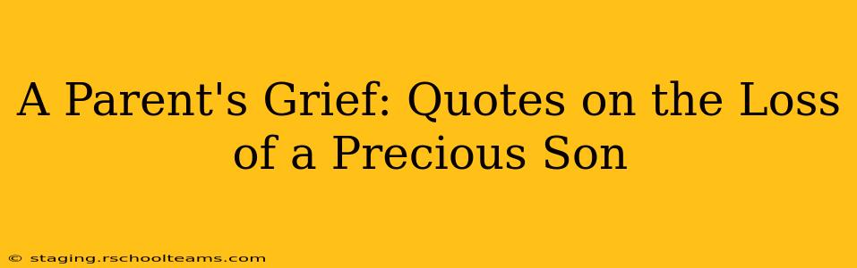 A Parent's Grief: Quotes on the Loss of a Precious Son