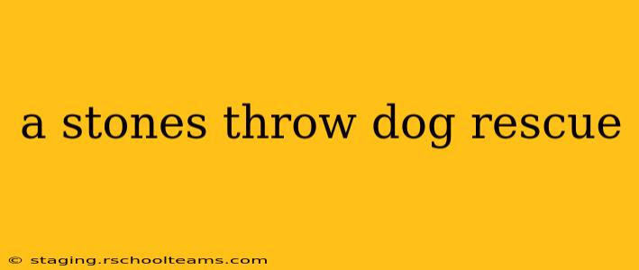 a stones throw dog rescue