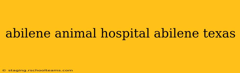 abilene animal hospital abilene texas