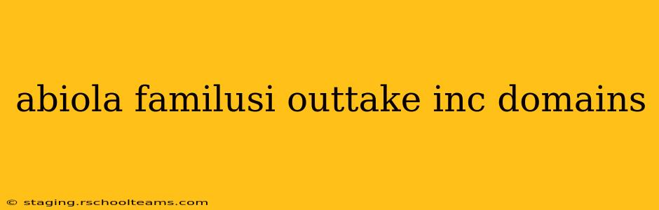 abiola familusi outtake inc domains