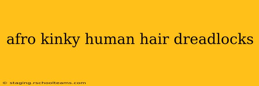 afro kinky human hair dreadlocks