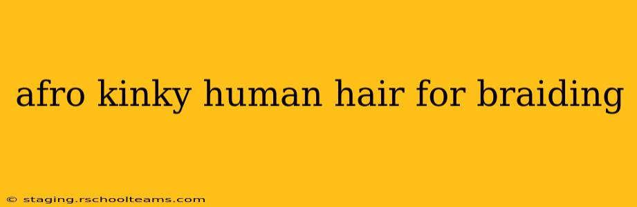 afro kinky human hair for braiding