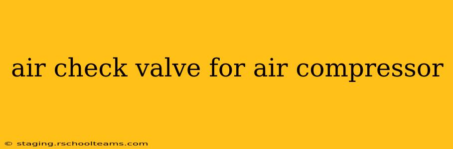air check valve for air compressor
