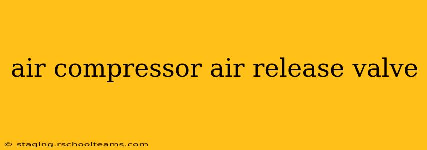 air compressor air release valve