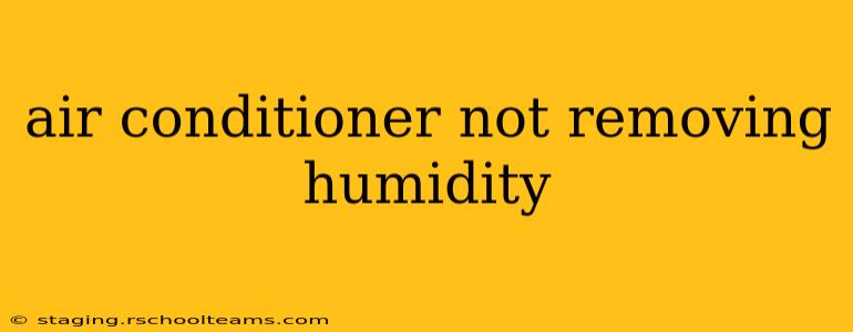 air conditioner not removing humidity