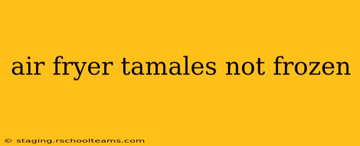 air fryer tamales not frozen
