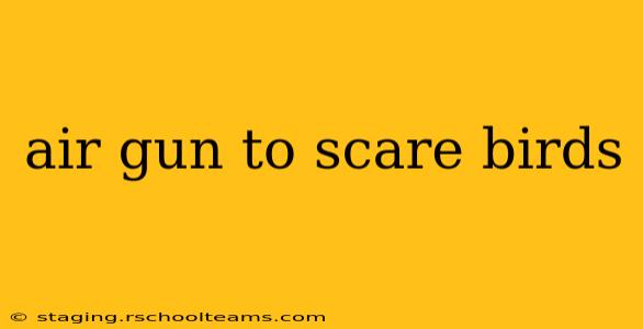air gun to scare birds