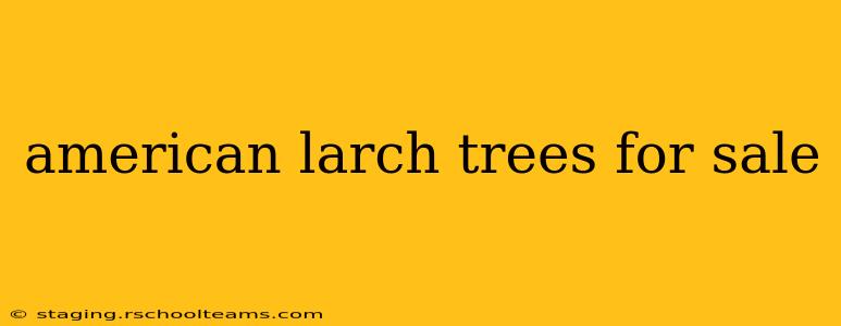 american larch trees for sale