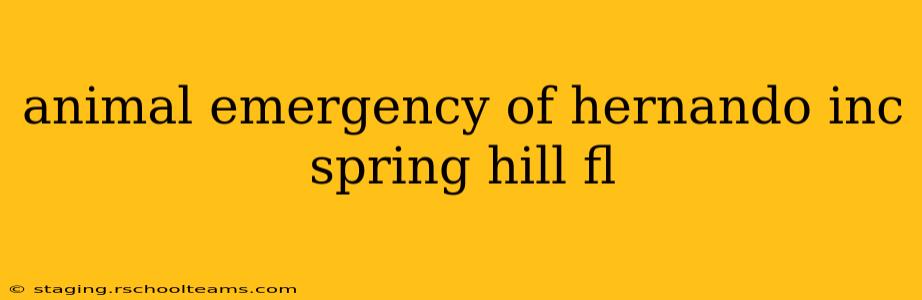 animal emergency of hernando inc spring hill fl