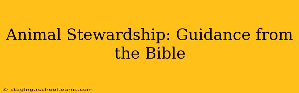 Animal Stewardship: Guidance from the Bible