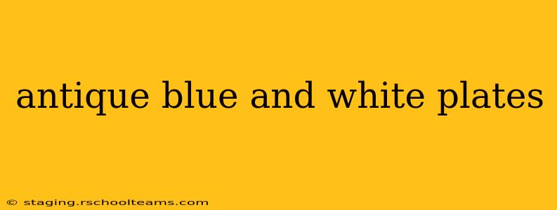 antique blue and white plates