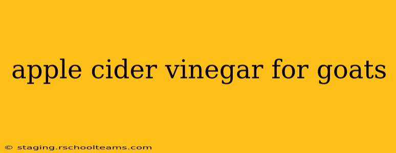 apple cider vinegar for goats