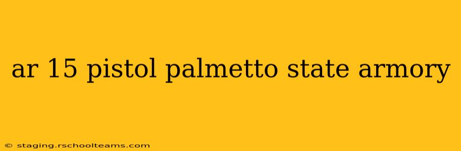 ar 15 pistol palmetto state armory