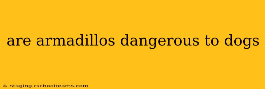 are armadillos dangerous to dogs