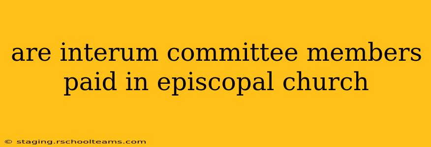 are interum committee members paid in episcopal church