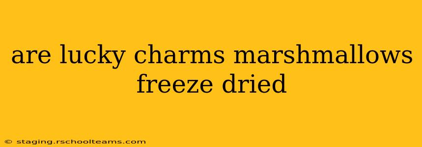 are lucky charms marshmallows freeze dried