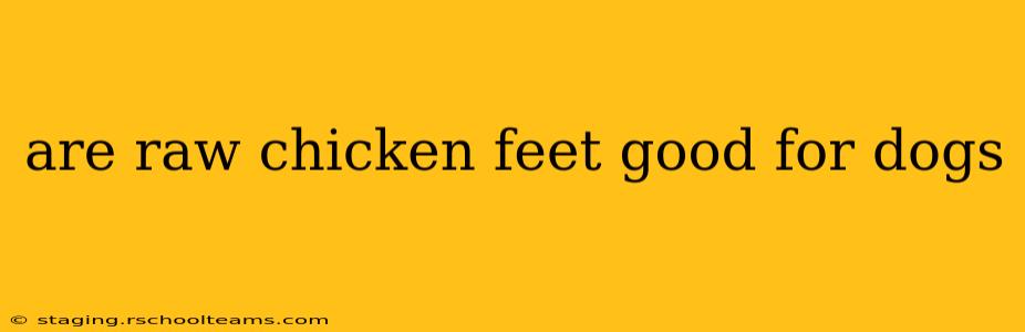 are raw chicken feet good for dogs