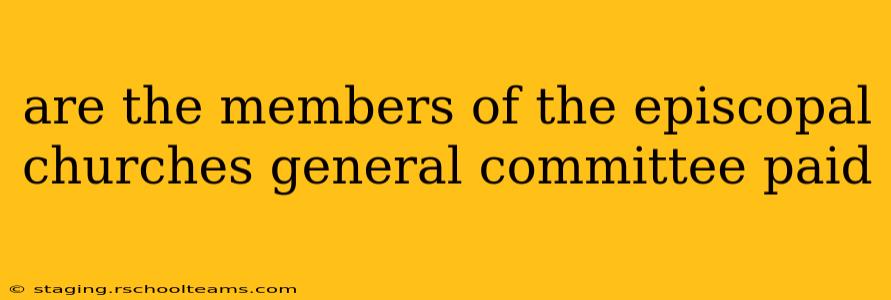 are the members of the episcopal churches general committee paid