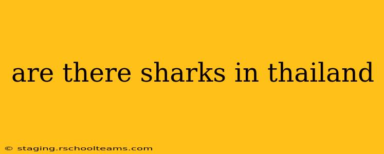 are there sharks in thailand