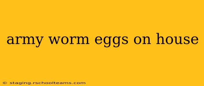 army worm eggs on house