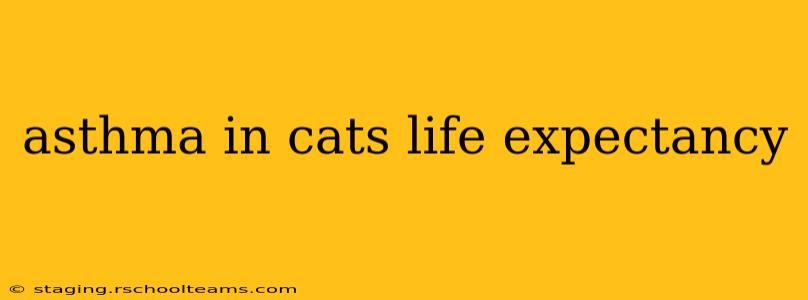 asthma in cats life expectancy