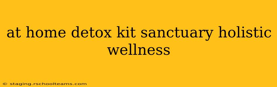 at home detox kit sanctuary holistic wellness