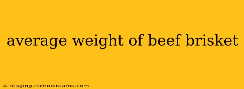 average weight of beef brisket