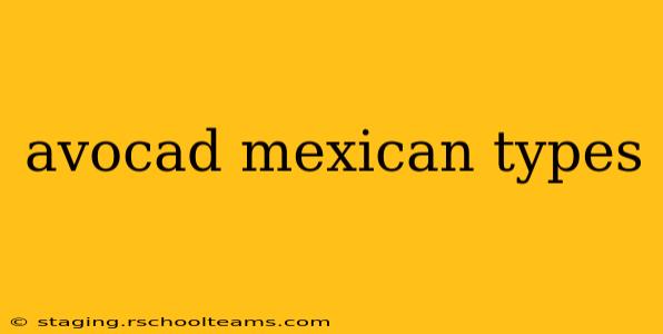 avocad mexican types