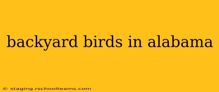 backyard birds in alabama