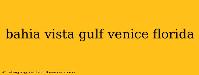 bahia vista gulf venice florida