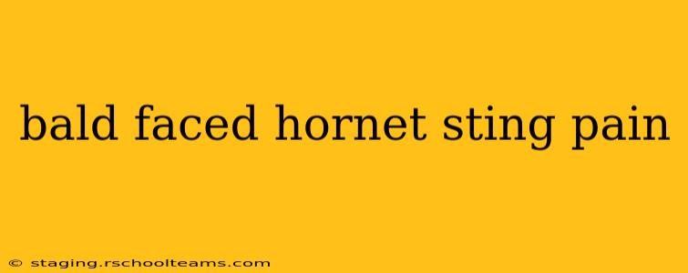 bald faced hornet sting pain