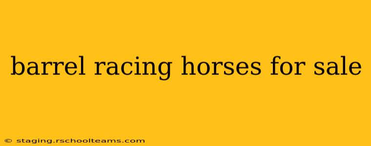 barrel racing horses for sale
