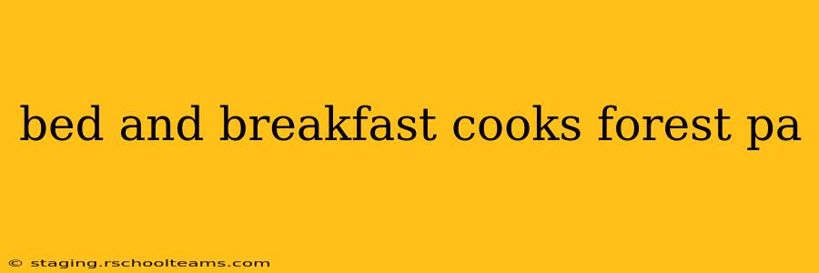 bed and breakfast cooks forest pa